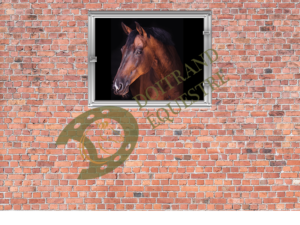 Dessin d'un cheval derrière sa fenêtre de box modèle Vénus