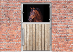 Dessin d'une porte de box extérieure pour cheval à 2 volets dont un vitré