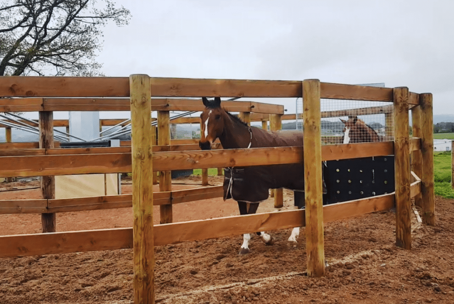 Horse walkers by Doitrand Equestre