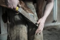 Maréchal ferrant en train de parer un pied de cheval